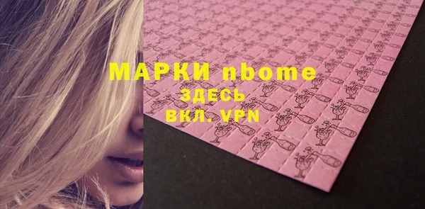 индика Карпинск