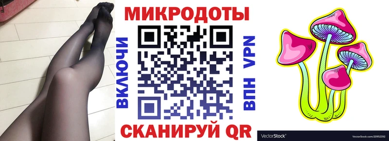 Псилоцибиновые грибы Cubensis  Плавск 